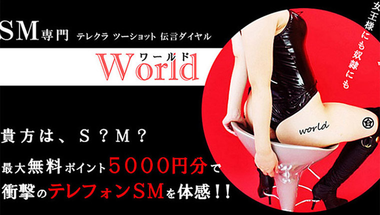 ＳＭワールドのランキング画像