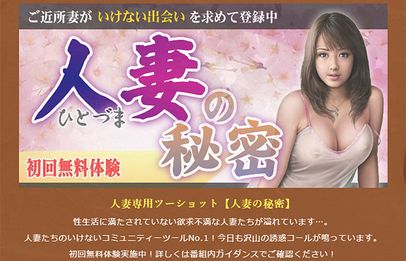 人妻の秘密の紹介画像